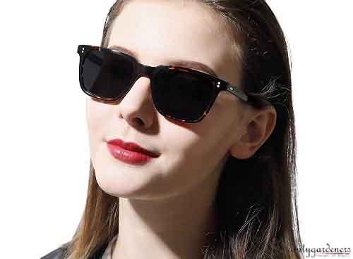 sunglasses for small oval face female
