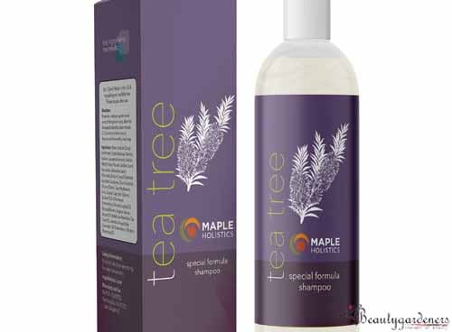 maple holistics tea tree oil shampoo