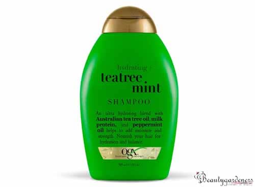 OGX mint hydrating shampoo copy