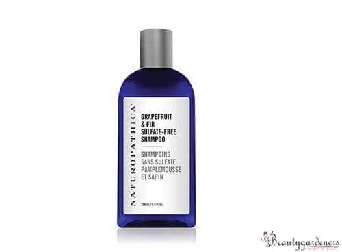 best shampoo for oily smelly scalp