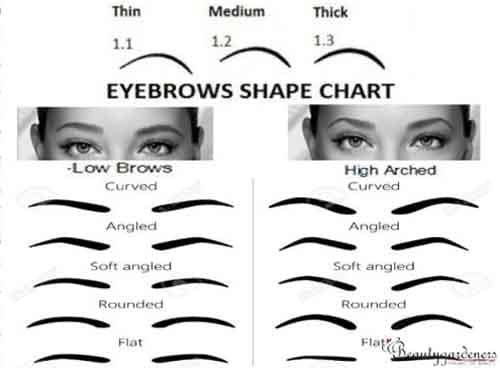 brow shapes