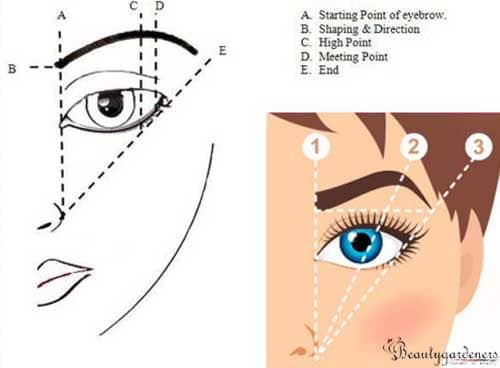 eyebrow mapping - Fashion & Beauty Advice